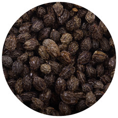 pawpaw seeds background