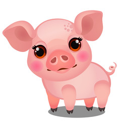 Little animated pig isolated on white background. Sample of poster, party holiday invitation, festive banner, card. Vector cartoon close-up illustration.