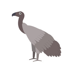 African vulture icon in flat style, african animal vector illustration