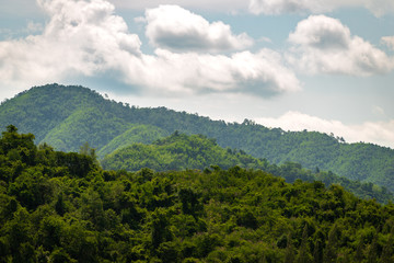 Fototapeta premium The landscape of nature with mountain, river, forest and clouds in the morning.