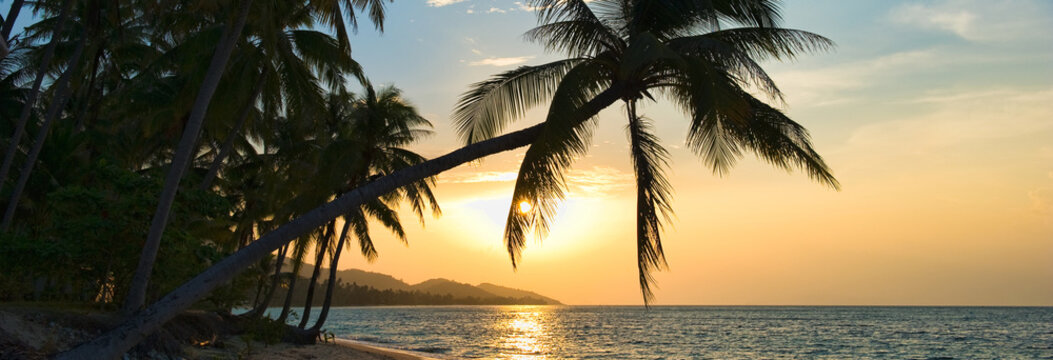 Beautiful horizontal image breathtaking sunset over Siam gulf on the Samui island at sunset, leaning palm trees above the water sun down golden lights. Asia, Thailand