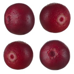 set of cowberries isolated on white background