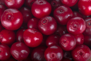 fresh red cowberries background