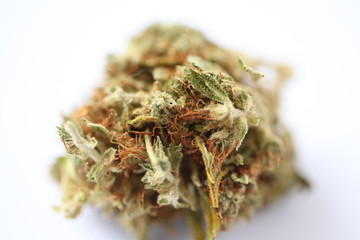 dry cannabis bud medical drug