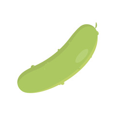 cucumber. Isolated vector illustration