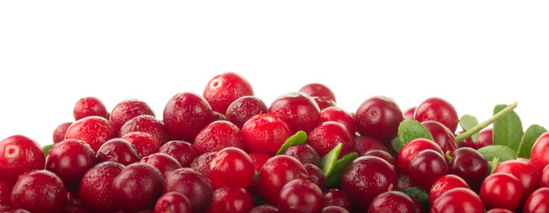 big heap of red fresh cowberries isolated on white