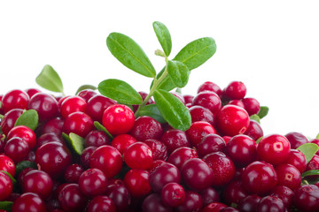 big heap of cowberries with leaves isolated on white background