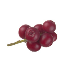 Cowberry Lingonberry (Vaccinium vitis-idaea) isolated on white background