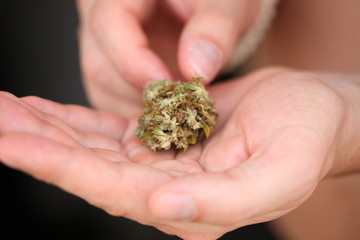 dry medical cannabis marijuana hand