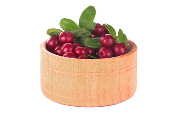fresh red cowberry in wooden cup isolated on white background