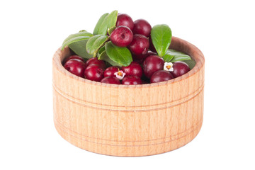 fresh red cowberry in wooden cup isolated on white background
