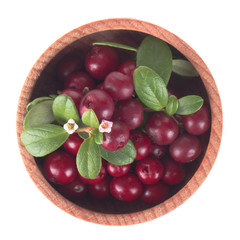 fresh red cowberry with leaves and flowers in wooden cup isolated on white background