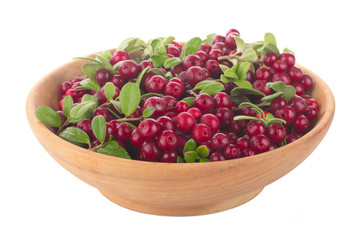 fresh red cowberry in wooden cup isolated on white background