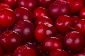 fresh red cowberries background