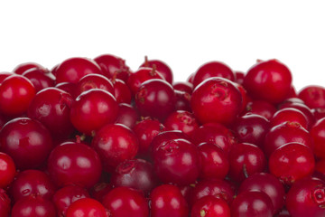 big heap of red fresh cowberries isolated on white