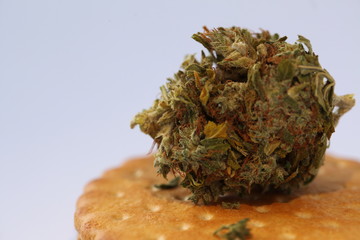 Dry Cannabis Medical Marijuana Cookies