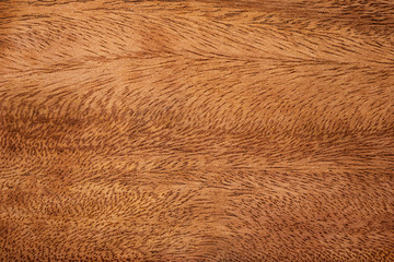 Dark wood texture background. Detail of natural pattern wooden material.