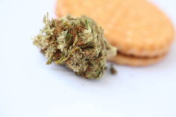 Dry Cannabis Medical Marijuana Cookies