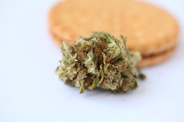 Dry Cannabis Medical Marijuana Cookies