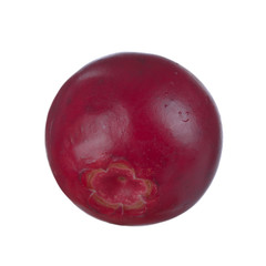 fresh cowberry isolated on white