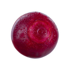 Fototapeta premium single fresh cowberry isolated on white