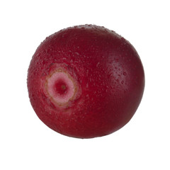 fresh cowberry isolated on white