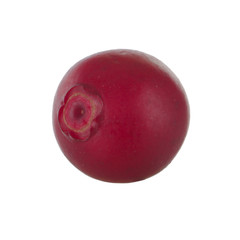fresh cowberry isolated on white
