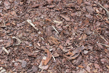 Bark