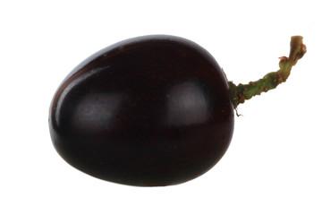 black grape isolated on white background
