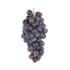 bunch of blue grapes isolated on white