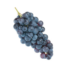 bunch of blue grapes isolated on white