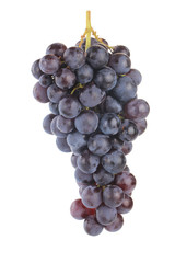 bunch of blue grapes isolated on white