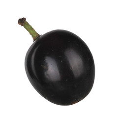black grape isolated on white background