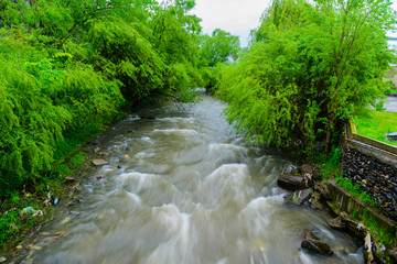 Obraz premium River between green trees, Armenia