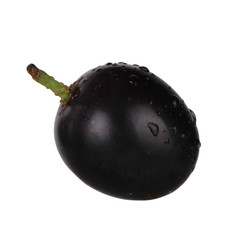 black grape isolated on white background