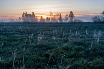 Fototapeta premium Łąki nad Narwią. Poranne mgły nad łąkami