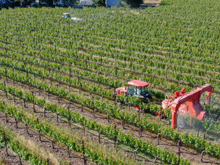 Farm tractor spraying pesticides & insecticides herbicides over green vineyard field. Napa Valley,...