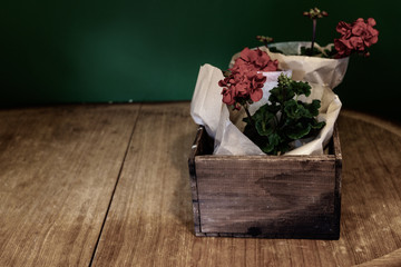 Red Geraniums wrapped in paper in a vintage wooden box on the old wooden table