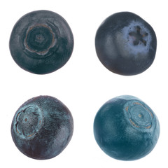 Obraz premium set of blueberries isolated on white