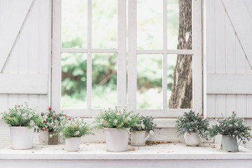 Autumn flowers in the pot on the windowsill, street decorated with flowers