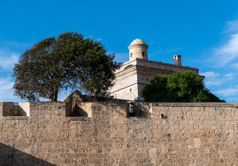 A building in the middle of two trees