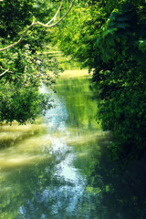 Bavarian landscape; one of the many river and canals crossing the country almost hidden by the lush green vegetation