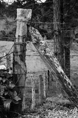 Obraz premium ruins of old house