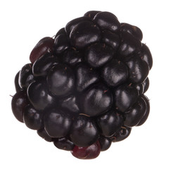 single blackberry isolated on white background