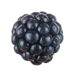 single blackberry isolated on white background