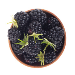 heap of blackberry in wooden cup isolated on white background