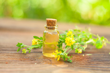 burclover essential oil in  beautiful bottle on White background
