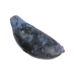 single honeyberry with water drops isolated on white background