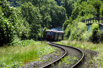 Naklejka premium Sonderzugreise im historischen Schienenbus auf der Lahntalstrecke bei Lahnstein - Stockfoto