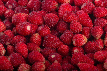 red fresh wild strawberries background